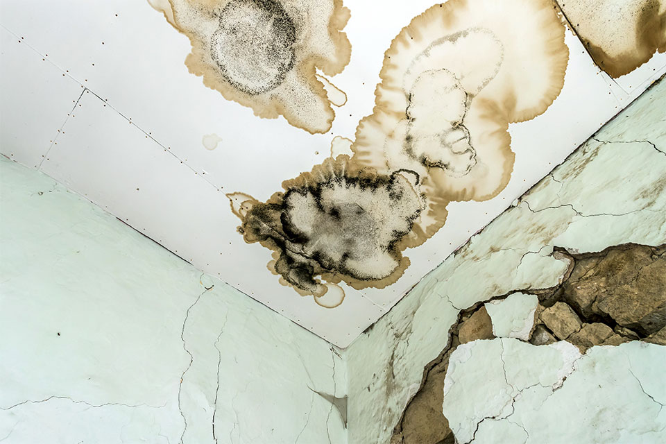 Infiltrazioni sul soffitto