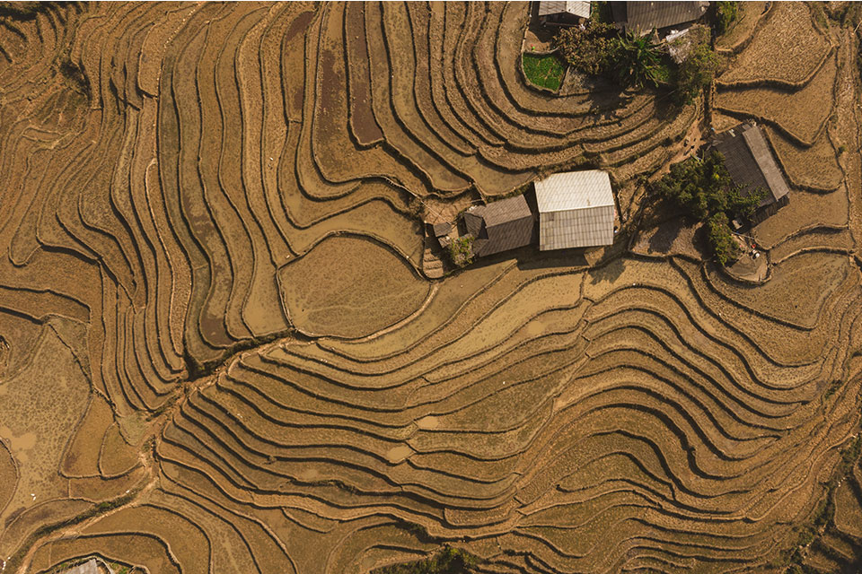 Terrazzamenti agricoli
