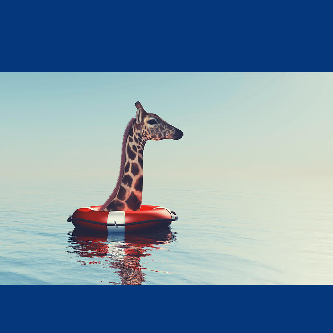 Le Giraffe: 5 curiosità che forse non conosci