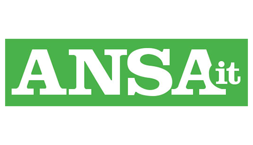 ansa